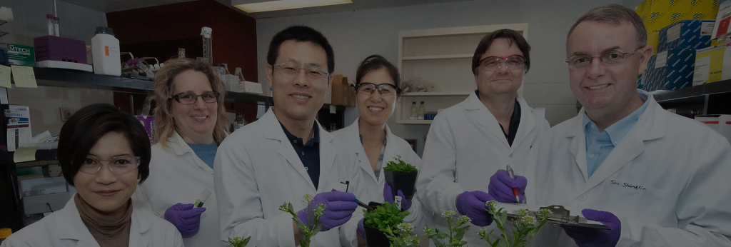 sunopta jobs 1