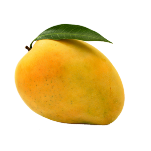 mango frozen