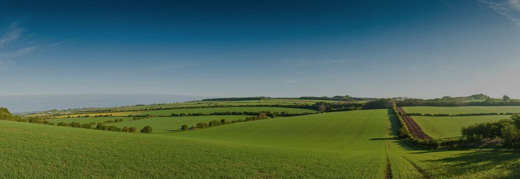 green fields